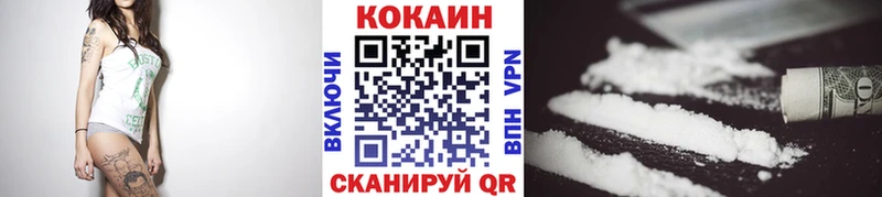 Купить закладки  Новоалександровск  COCAIN 98% 