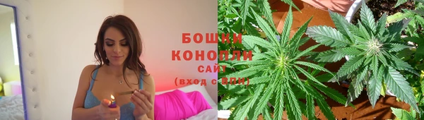индика Козельск