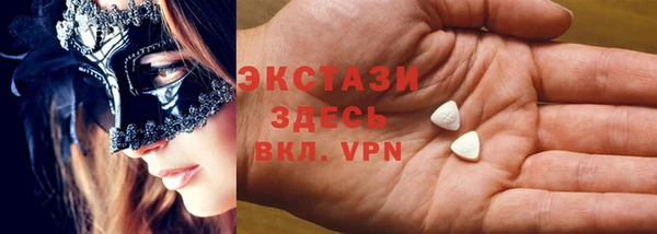 индика Козельск