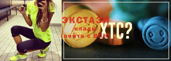 индика Козельск