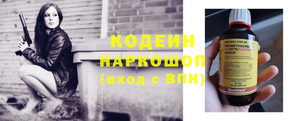 индика Козельск