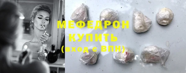 индика Козельск