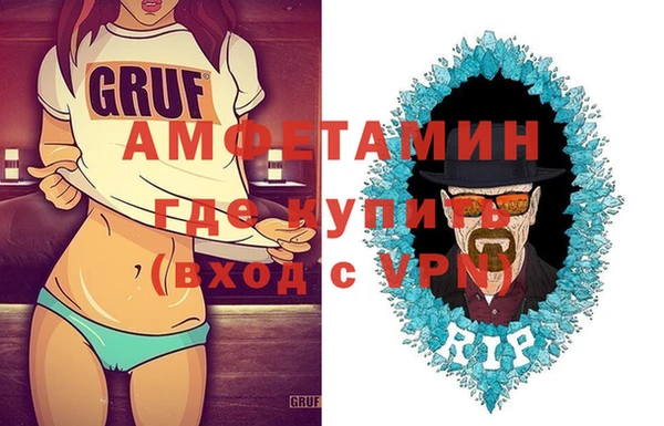 индика Козельск