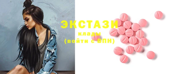 индика Козельск