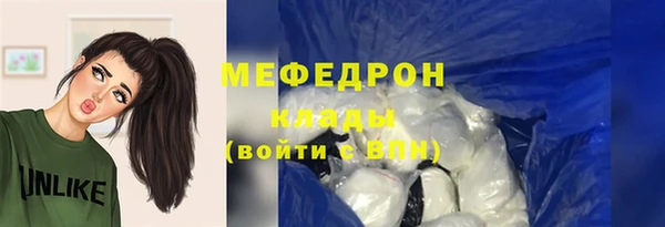 индика Козельск