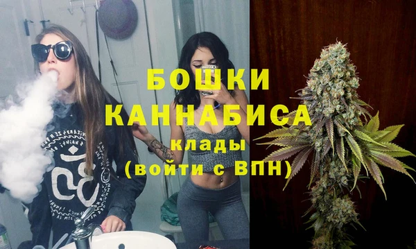индика Козельск