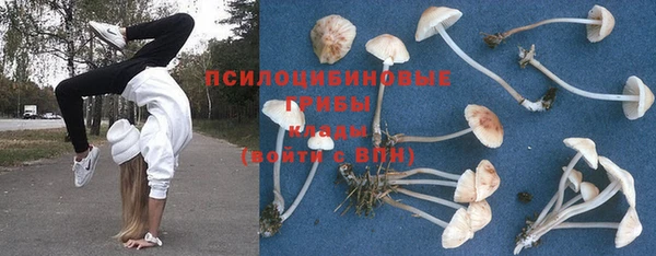 первитин Кодинск