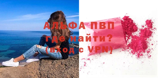 индика Козельск
