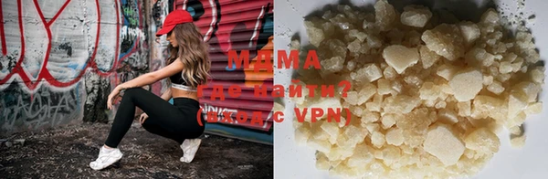 индика Козельск
