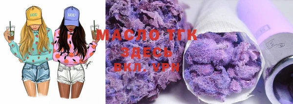 индика Козельск