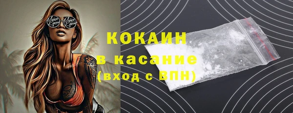 индика Козельск